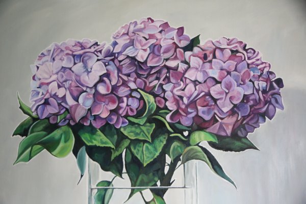 Гортензия гуашью