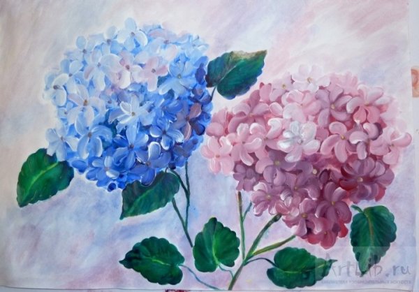 Гортензия акрилом