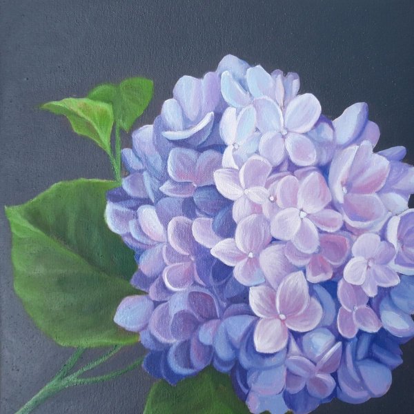 Гортензия акрилом