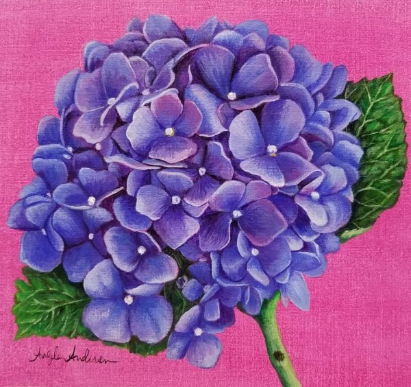 Гортензия акрилом