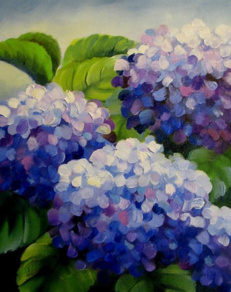 Сарьян голубые гортензии