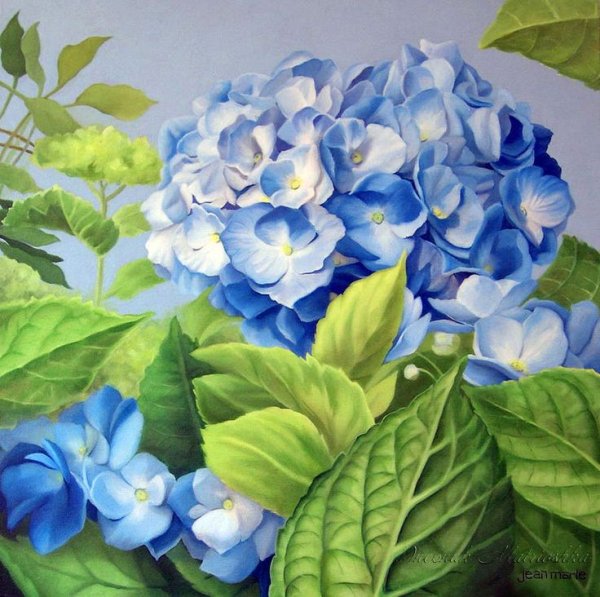 Гортензия painted Orange hydrфflora