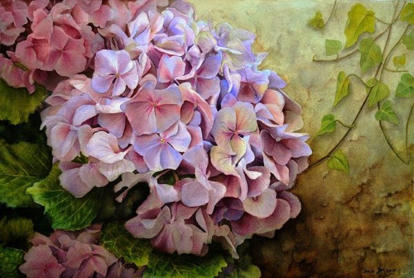 Гортензия крупнолистная акварель
