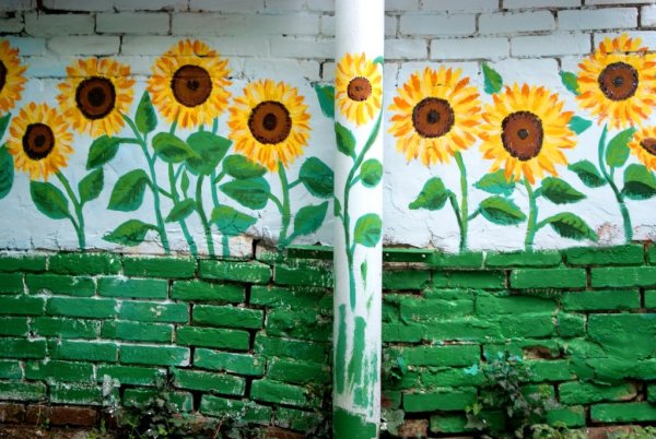 Забор с подсолнухами