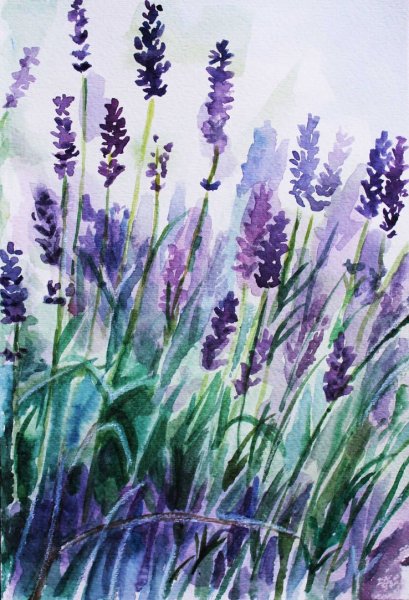 Лаванда миксборд акварель