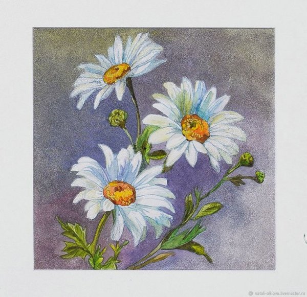 Ромашки акриловыми красками