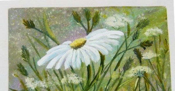 Ромашки текстурной пастой