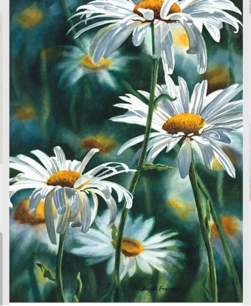 Картина ромашки