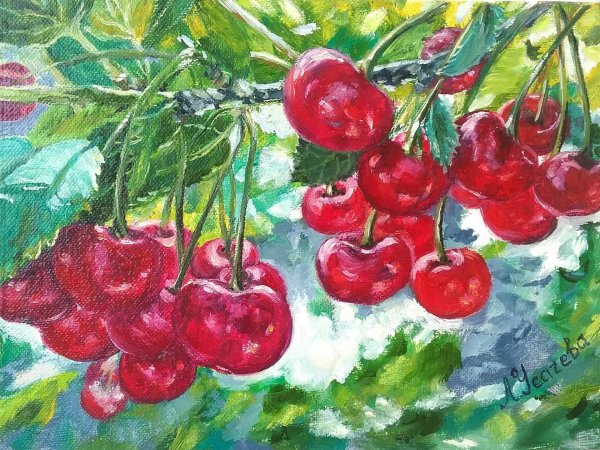 Ягоды вишни живопись
