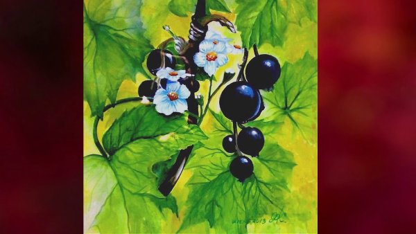 Черная смородина в живописи