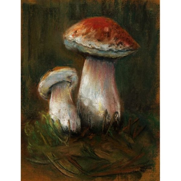 Мухомор пастелью