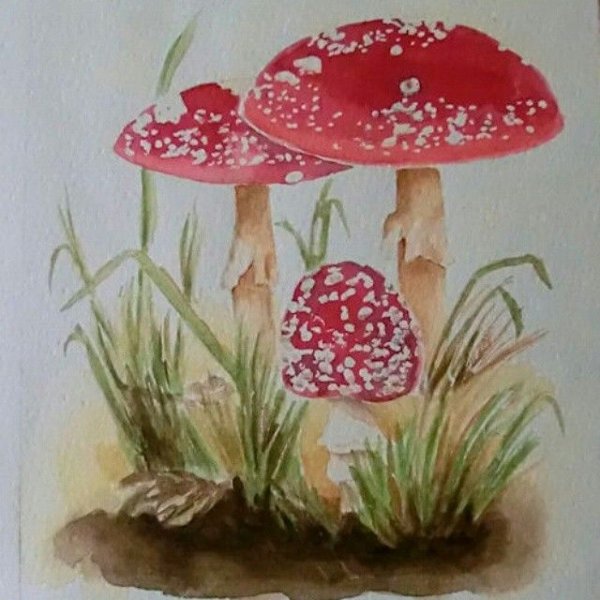 Мухомор акрилом