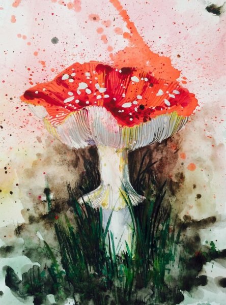 Грибы акварелью мухомор