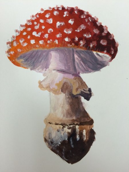 Мухомор акварелью