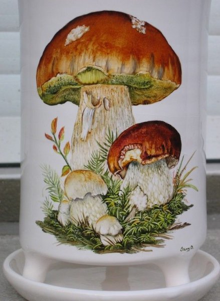 Гриб Боровик расписной