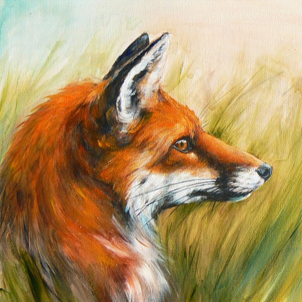 Лисичка Лесли