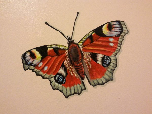 Бабочка акриловыми красками