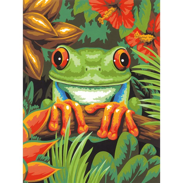 Древесная лягушка Дименшенс