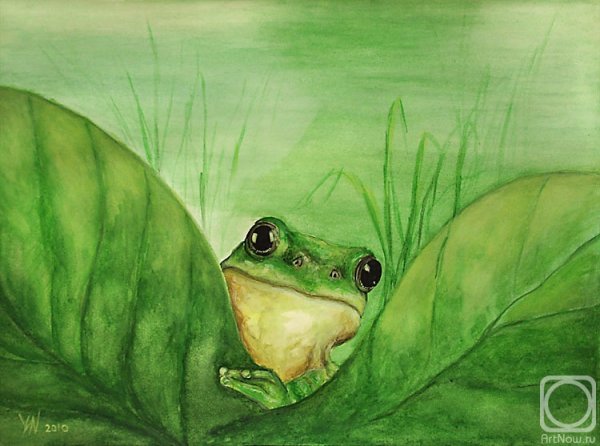 Нарисовать лягушку на болоте