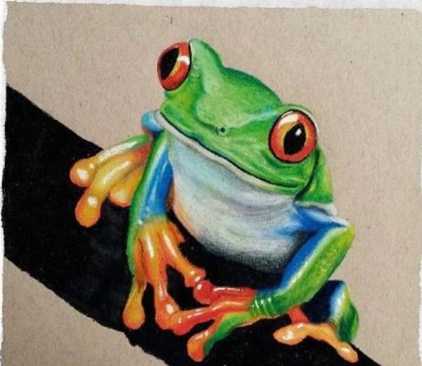 Лягушка цветными карандашами