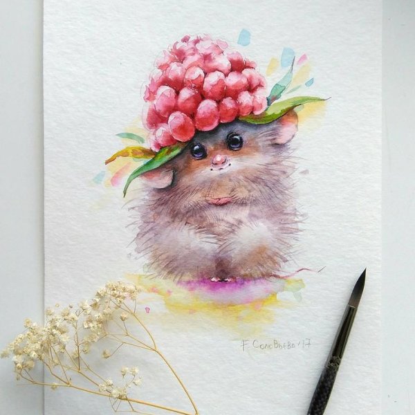 Евгения Соловьева (@genechka_djogan)