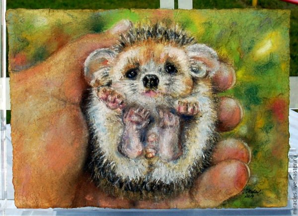 Еж пастелью