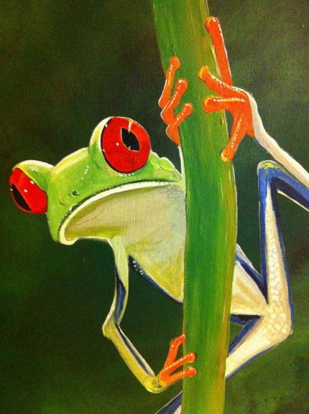 Лягушка яркая картина