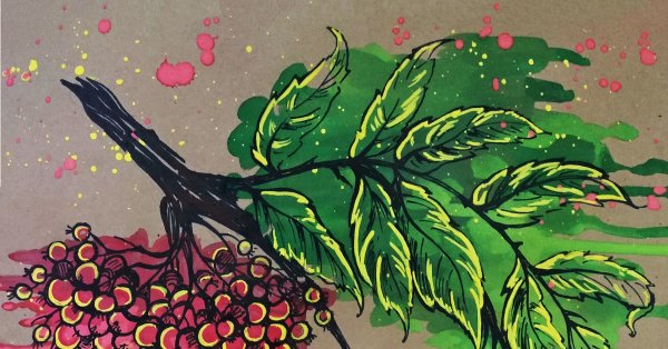 Рябина рисунок гуашью