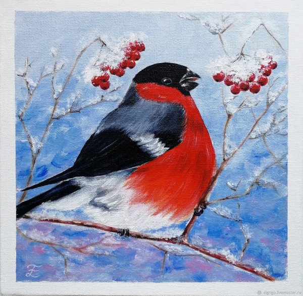 Снегирь акрилом