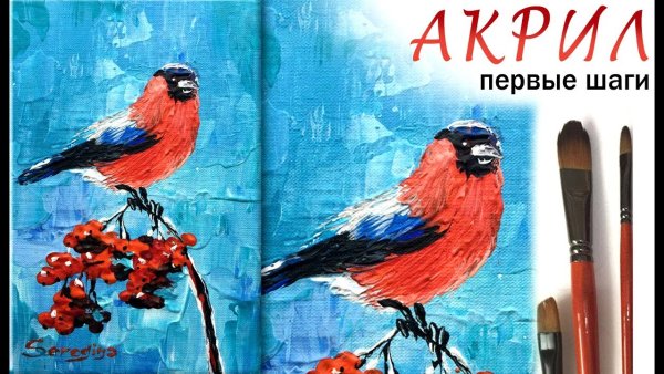 Снегирь рисунок акрилом