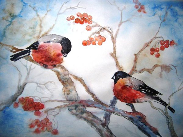 Снегирь на рябине гуашью