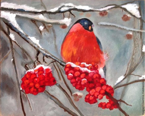 Рябина зимой живопись