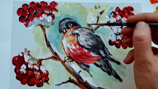 Снегирь рисунок акрилом