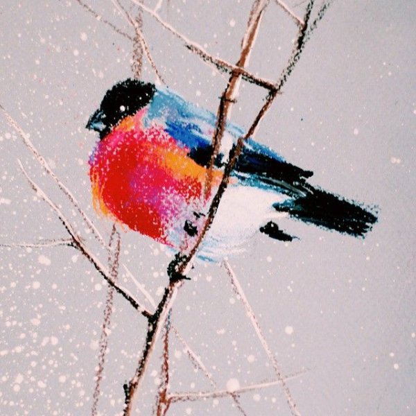 Елена таткина пастель птицы