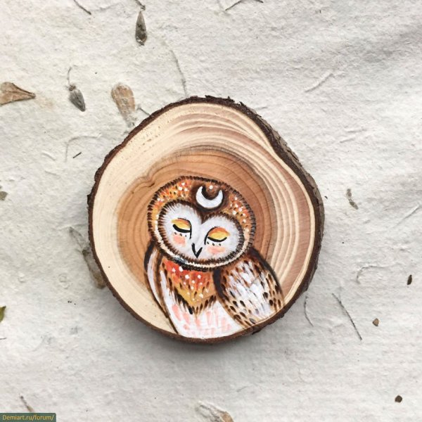 Совиное Инь-Янь