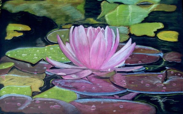 Алессандро Форнеро художник кувшинки