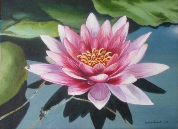 Картина розовые кувшинки