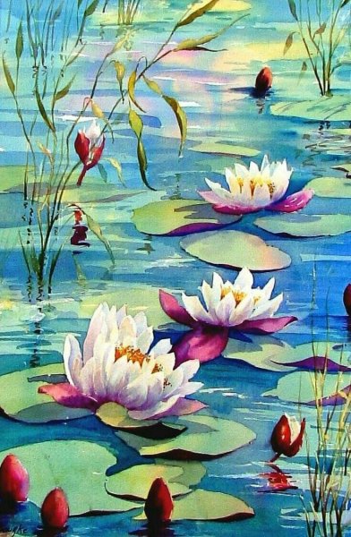 Пейзаж с кувшинками