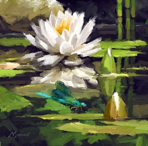 Алексей Епишин кувшинки на воде