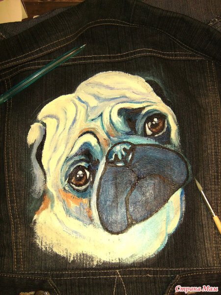 Мопс в джинсах