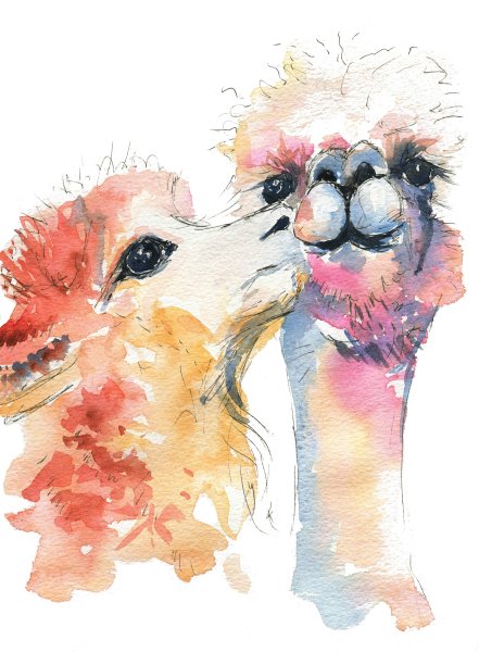 Ламы альпаки акварель