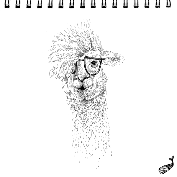 Альпака акварелью