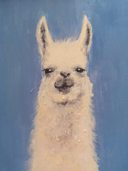 Лама рисунок акварель