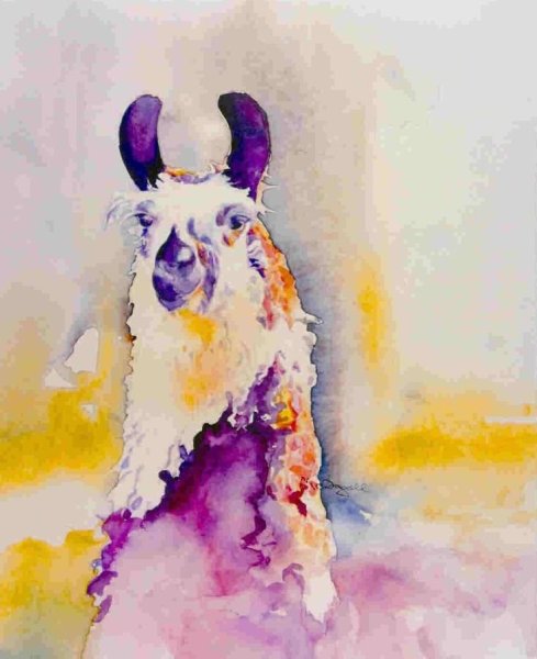 Лама иллюстрация