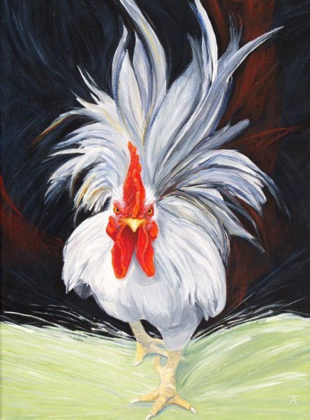 Петух белый картина