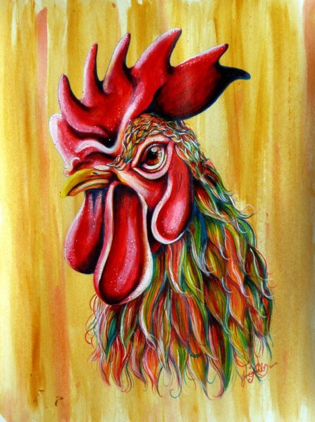 Креативный петух