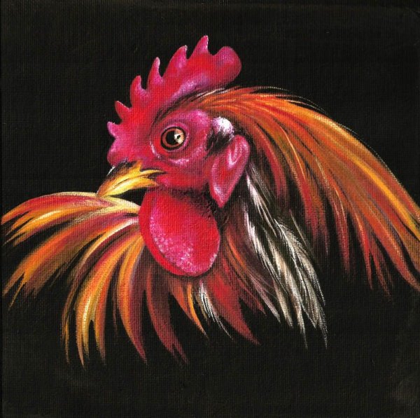 Петух акрилом