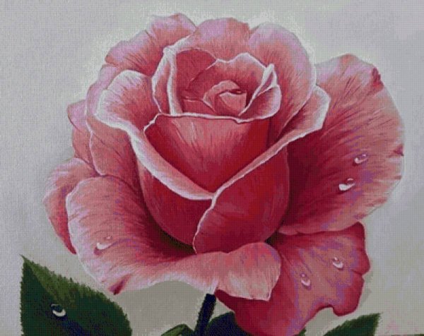 Рисуем розы акрилом