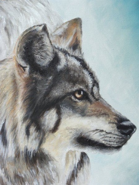 Рисование акрилом волк