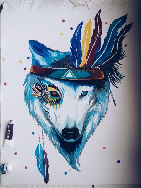 Волк красками